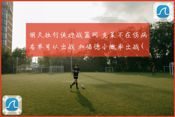 明天独行侠迎战篮网 克莱不在伤病名单可以出战 加福德小概率出战(6)